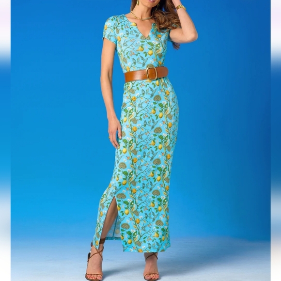 NicoBlu Flora Long Stretch Maxi Dress Size XS Turquoise Hummingbird Print NWOT - Picture 1 of 15
